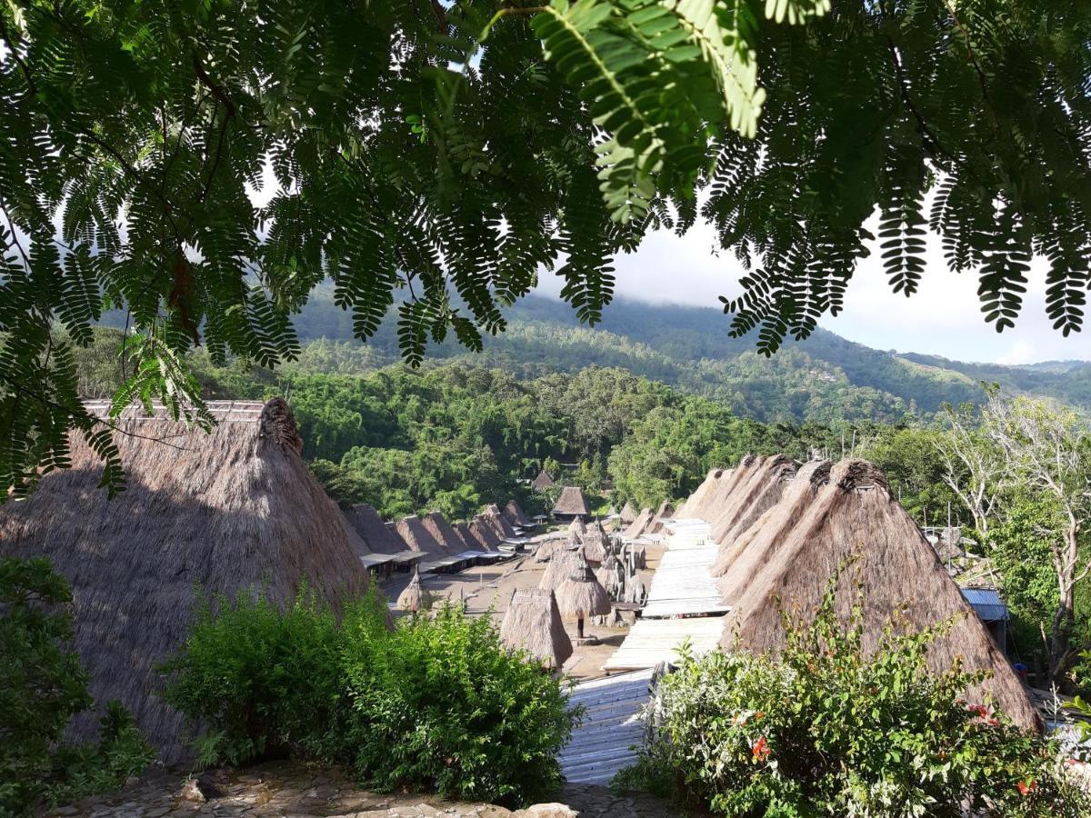 Manulalu Jungle Ξενοδοχείο Bajawa Εξωτερικό φωτογραφία